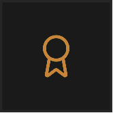 Excellence value icon